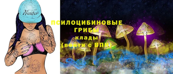 соль курить ск Алзамай